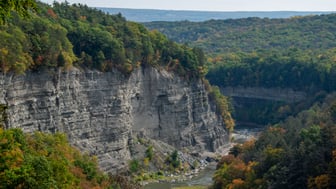 A high stratified shale cliff of pale grey rock rises above the Genesee River as it curves through a deep forested gorge, with green and early-autumn treetops along the rim and a distant wooded plateau on the horizon.